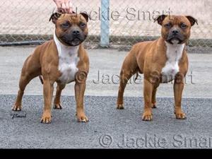 Handsome Hank with his dad Handsome Harry
