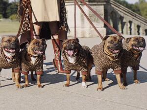 Burberry Models