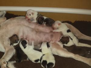 Doris and Kiddiewinks