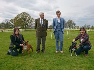 Best Puppy in Breed/Puppy Terrier Group !