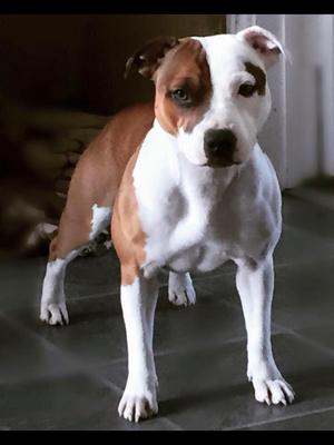 Nellie at 15 months