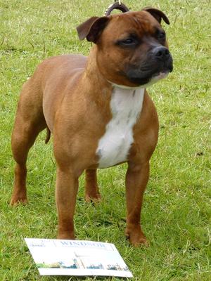 Hank @ 12 months
