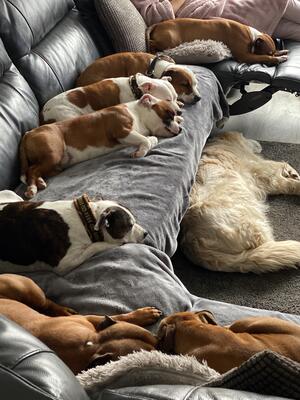 Sofa Surfers