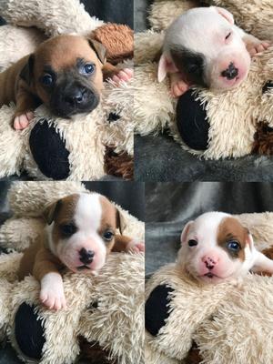 Girls @3weeks