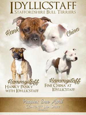 China and Hank