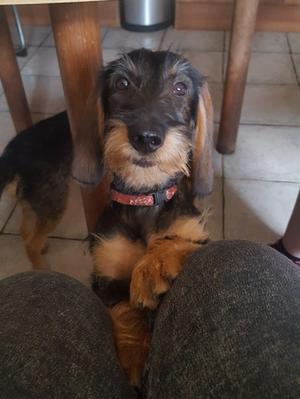 Meet Delilah