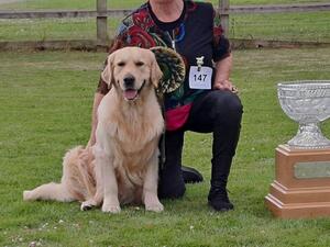 Dreamer winning Best in Show at the GRC 2024