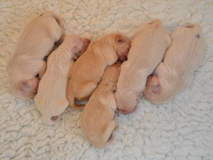 3 girls and 3 boys