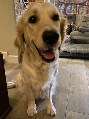 Penny