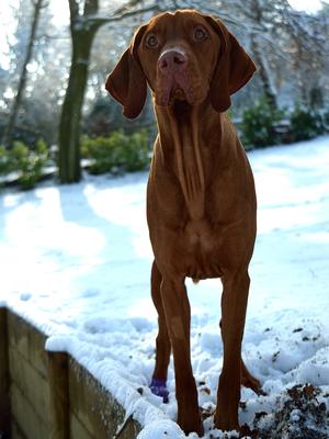 Amber (Sister Monica)