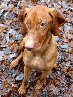 Amber (Sister Monica)