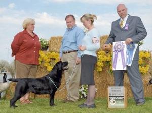 At 15 months old winning RWB at LRC of Potomac