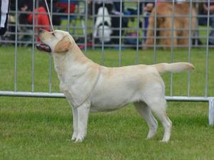Ramsayville Ria At Farbrae