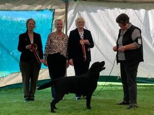 Ammo winning the RDCC & RBIS at NWLRC