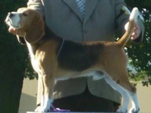 His Dad - Rocamar Silent Witness For Ramsayville