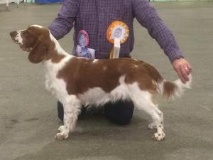 Taimere's Tickles My Fancy at Brent