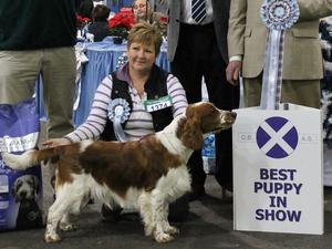 Taimere's Twister Round at Nyliram