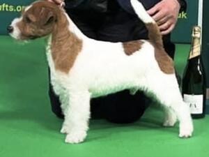 Monamour Hot Dancer at Saredon “Gatsby”