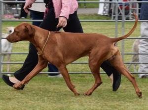 Mack on the move
