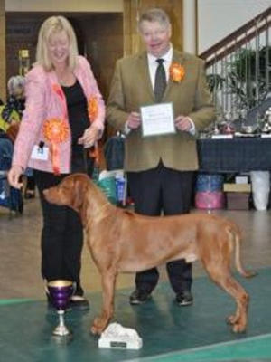 RRCS Ch Show 2019 - Best In Show