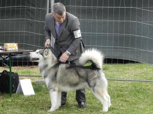 Vader - Best of Breed, Dieppe