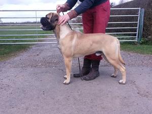 Gok at 14 months