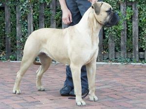 Ronnie at 19 Months