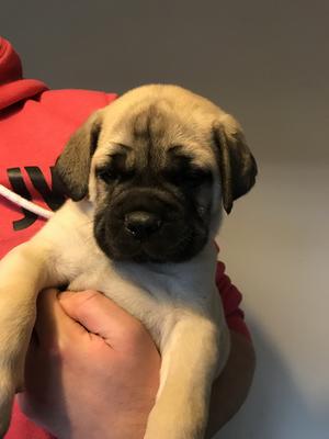 Baby at 6 weeks!