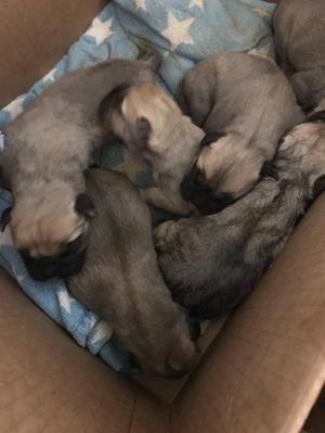 Babies just born