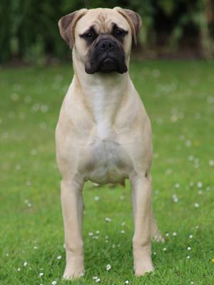 Luna at 6 Months