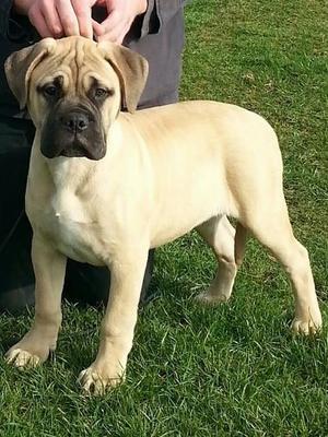 Luna at 14 Weeks