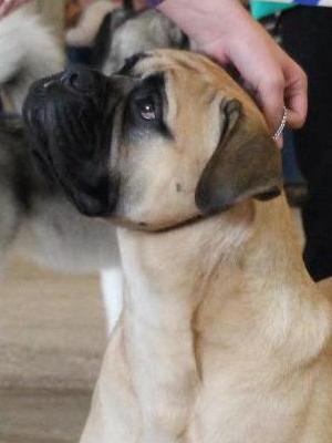 Ronnie at 2 Years