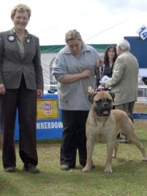 Wilfy on the day he became a Champion!