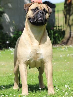 Ronnie at 13 Months