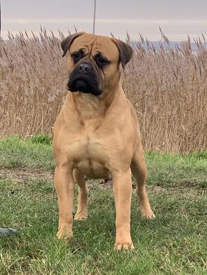 Lily at 2 years!