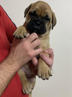 One of the babies
