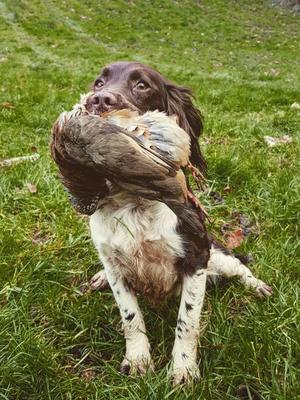 Dam - Very small, honest hard hunting girl