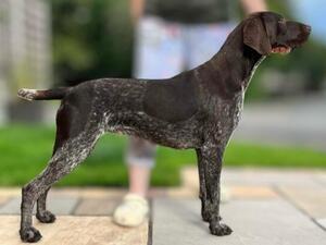Bronte at 12 months