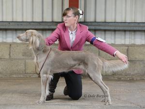 Remy being handled by Ruth Burgess