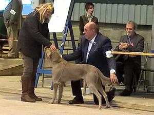 Judging of Post-Graduate Class