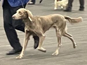 Phoebe in Scotland - Oct 2022