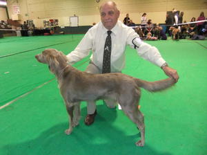 Remy winning Special Open Long-Hair