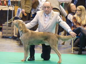 Terry and Remy at Crufts