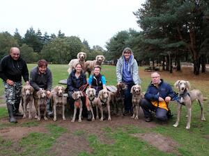 Whitecross Weimaraners (October 2019)