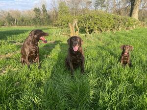 3 generations of my breeding