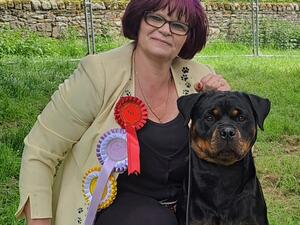 Ceearott Rottweilers