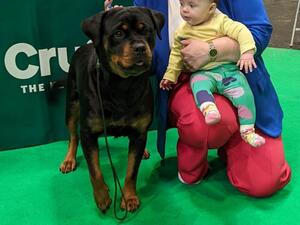 Bonnie @Crufts 2023