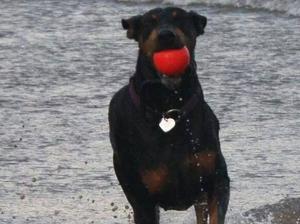 playing ball