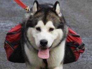 Backpacking