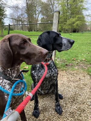 Tarka and Inka